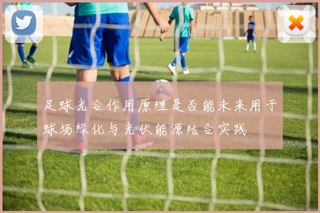 足球光合作用原理是否能未来用于球场绿化与光伏能源结合实践