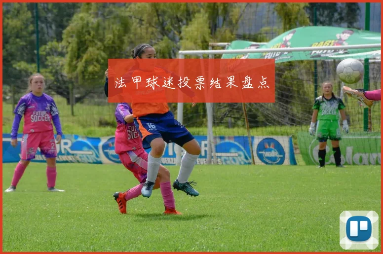 法甲球迷投票结果盘点