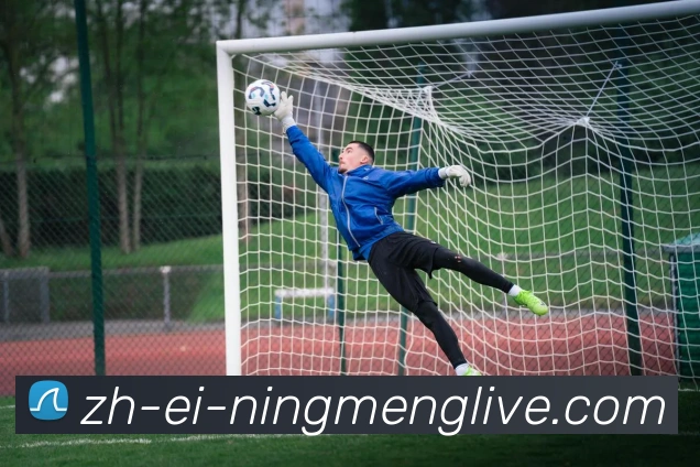 柠檬直播品牌故事