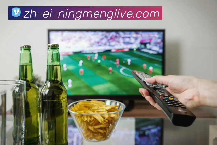 柠檬直播服务体系